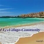 community-living - living with nature ❤ (@communityliving) -